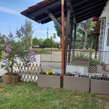 Hébergement de vacances Alexandra House On The Hill *